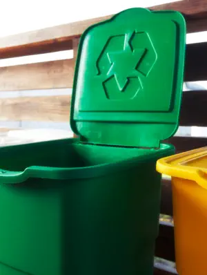 Sort Items into Recycle, Donate or Dispose